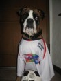 /album/photogallery/ettore-contatto-jpg/